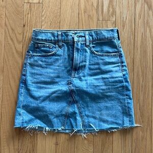 Everlane denim skirt